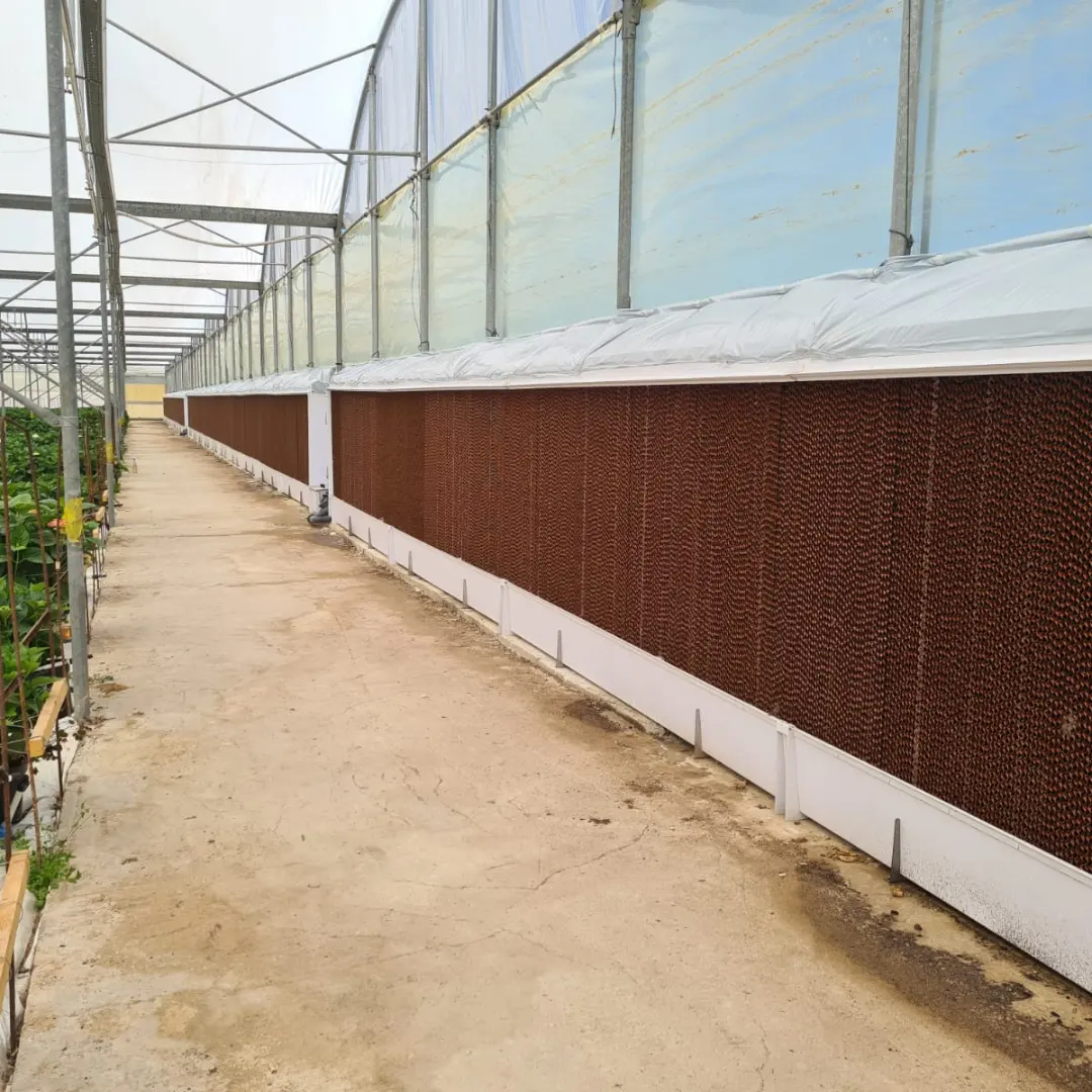 Scopri di più sull'articolo Innovagri Srl